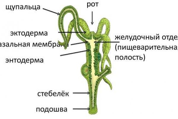 Как пройти капчу на блэкспруте bs2web top